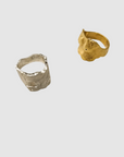 Deconstructed Venus ring