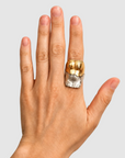 Deconstructed Venus ring