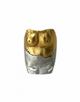 Deconstructed Venus ring